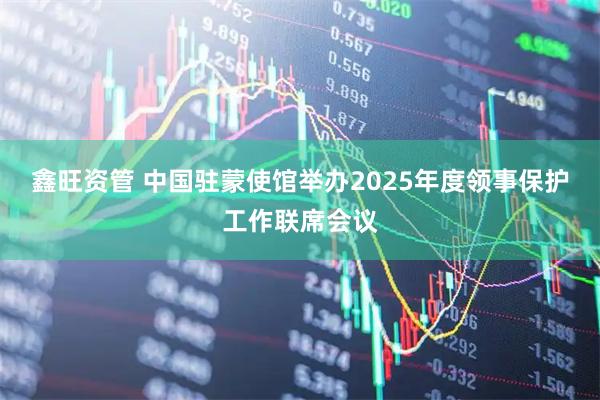 鑫旺资管 中国驻蒙使馆举办2025年度领事保护工作联席会议